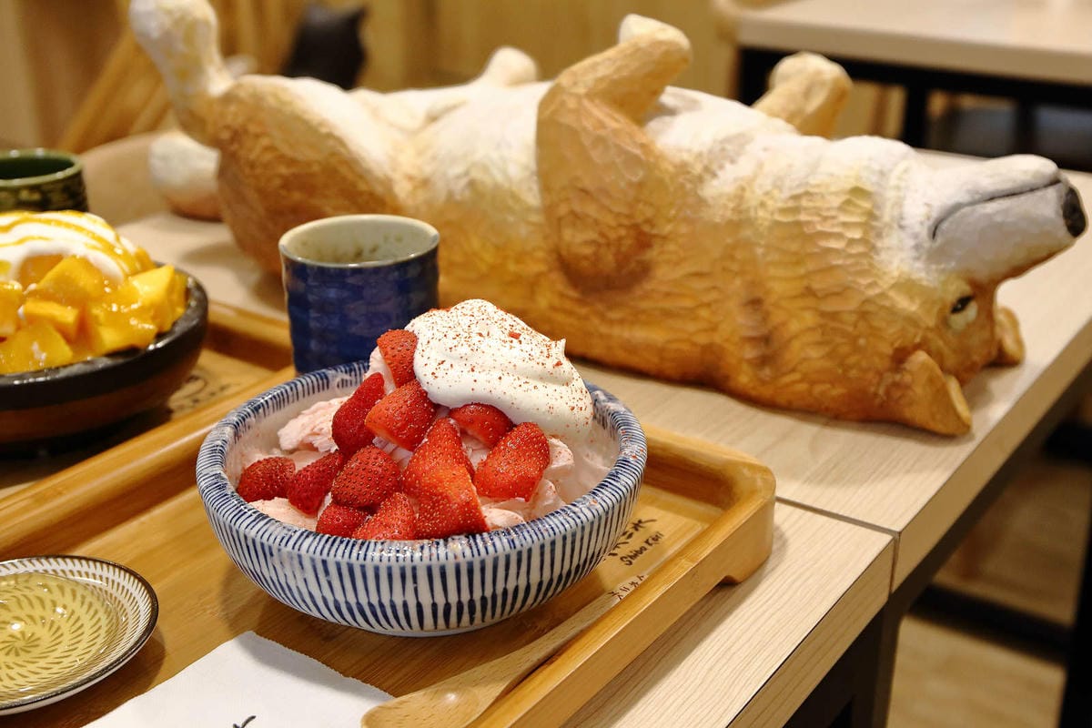 【食。台中】此木二水 Shiba Kori〜柴犬雪花冰專売店。超療癒柴犬、日式手工冰磚，今夏人氣必吃的冰品！