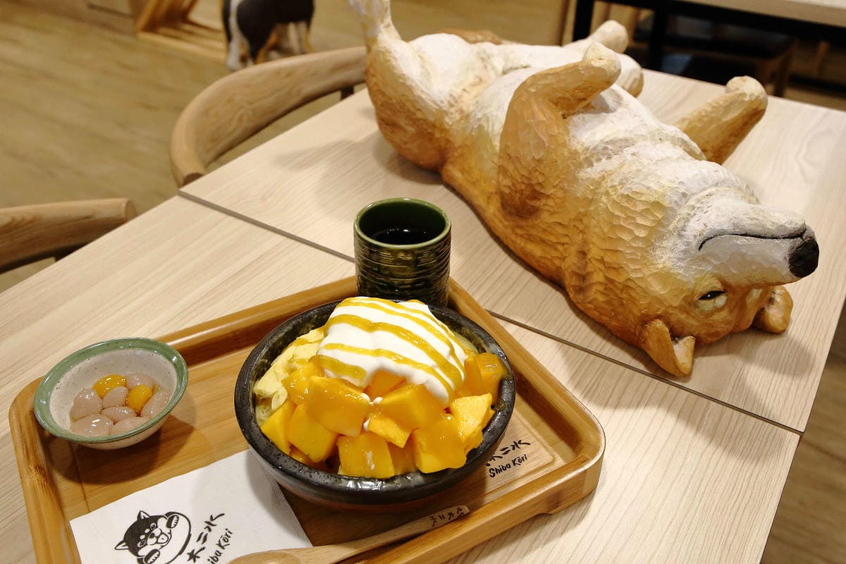 【食。台中】此木二水 Shiba Kori〜柴犬雪花冰專売店。超療癒柴犬、日式手工冰磚，今夏人氣必吃的冰品！