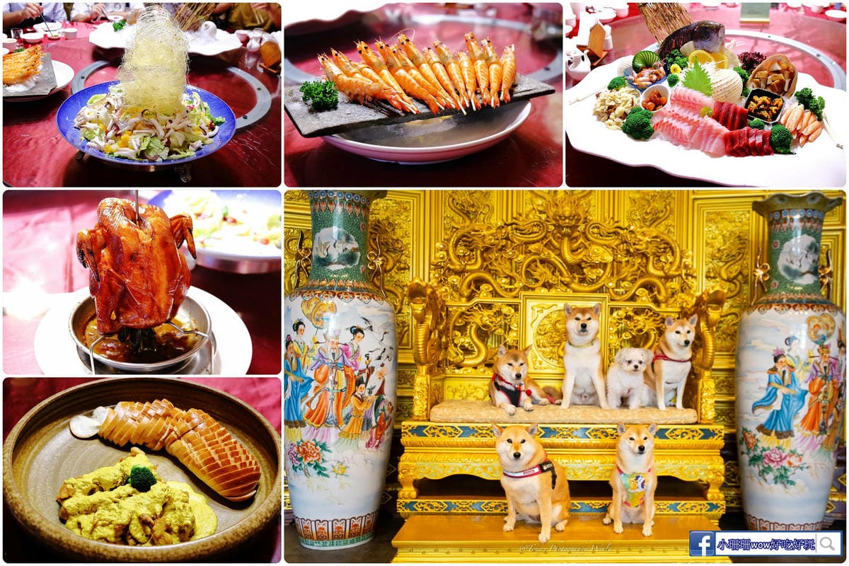 【宜蘭寵物友善餐廳、旅遊景點懶人包】帶毛小孩吃喝玩樂趴趴GO