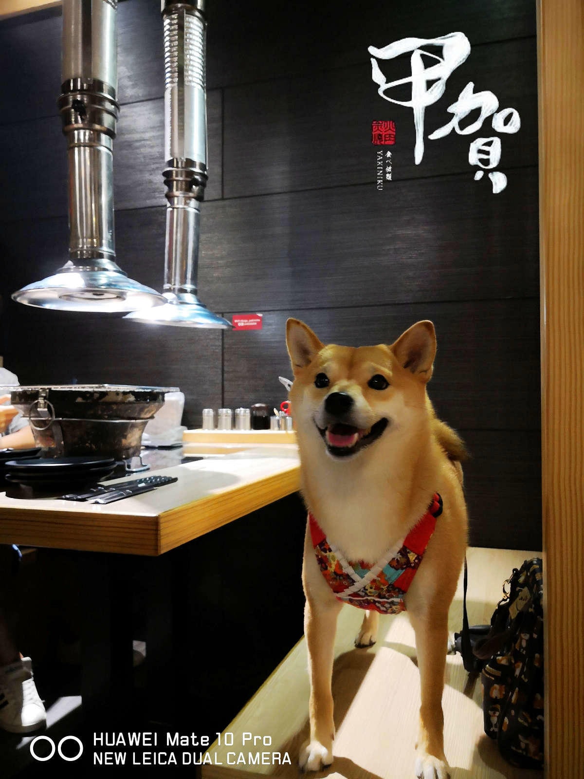 【食。基隆】甲賀日式炭火燒肉〜基隆燒肉吃到飽推薦!60種無限加點食材,親切的桌邊幫烤服務,可以帶毛小孩吃烤肉唷