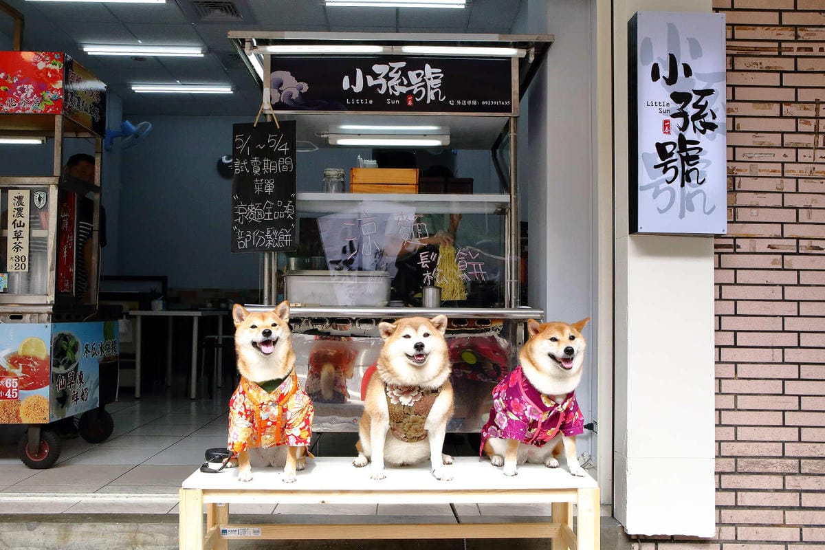 【食。平鎮】小孫號。little Sun〜巷弄小清新！涼麵+格子鬆餅，超創意美食小吃，顛覆你味覺與想像！(已歇業)