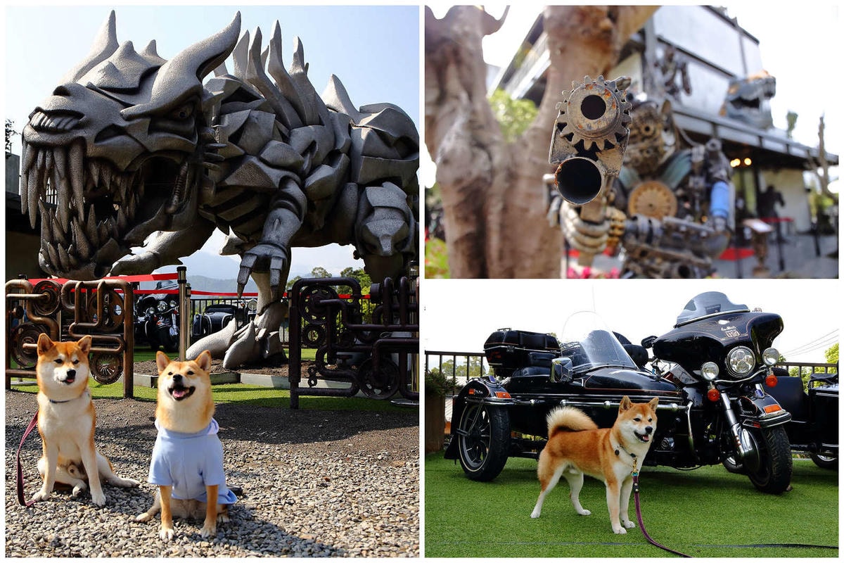 【食。新竹】卡菲努努明星店〜竹東景觀餐廳。親子寵物友善餐廳,小孩跟寵物的小樂園,餐點超水準,平價又好吃!