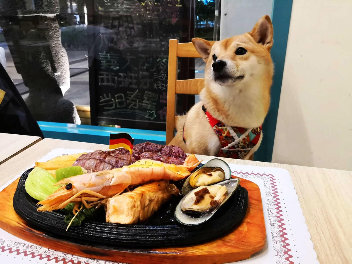 【食。樹林.三峽北大特區】STEAK BOY牛排小子〜平價也可以吃的一份好牛排!毛爸媽請注意,寵餐只要250元牛排吃到飽!(已歇業)