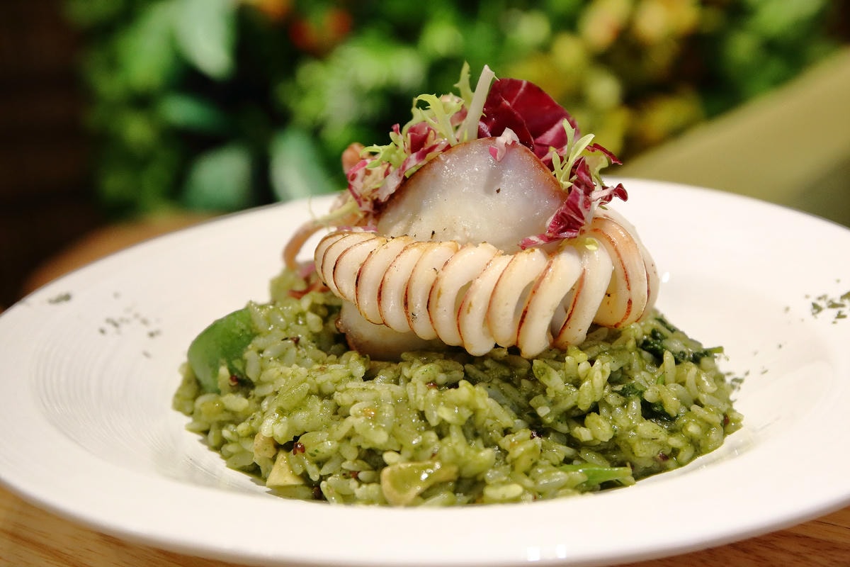 【食。台中】森林小徑-大墩店〜IG瘋打卡!當個森林系女孩!療癒喵店長坐檯陪你吃,味蕾與視覺的享受!