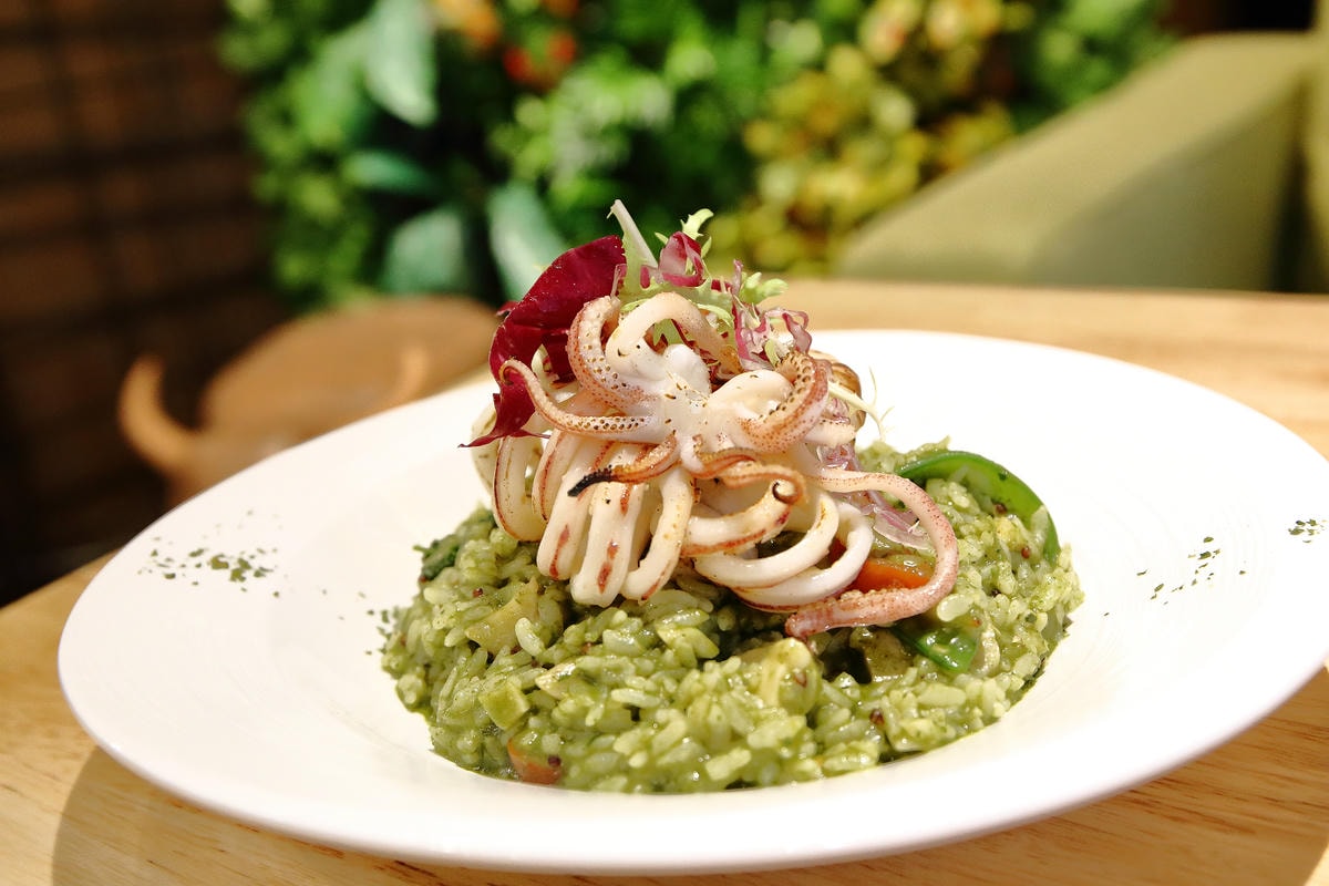 【食。台中】森林小徑-大墩店〜IG瘋打卡!當個森林系女孩!療癒喵店長坐檯陪你吃,味蕾與視覺的享受!