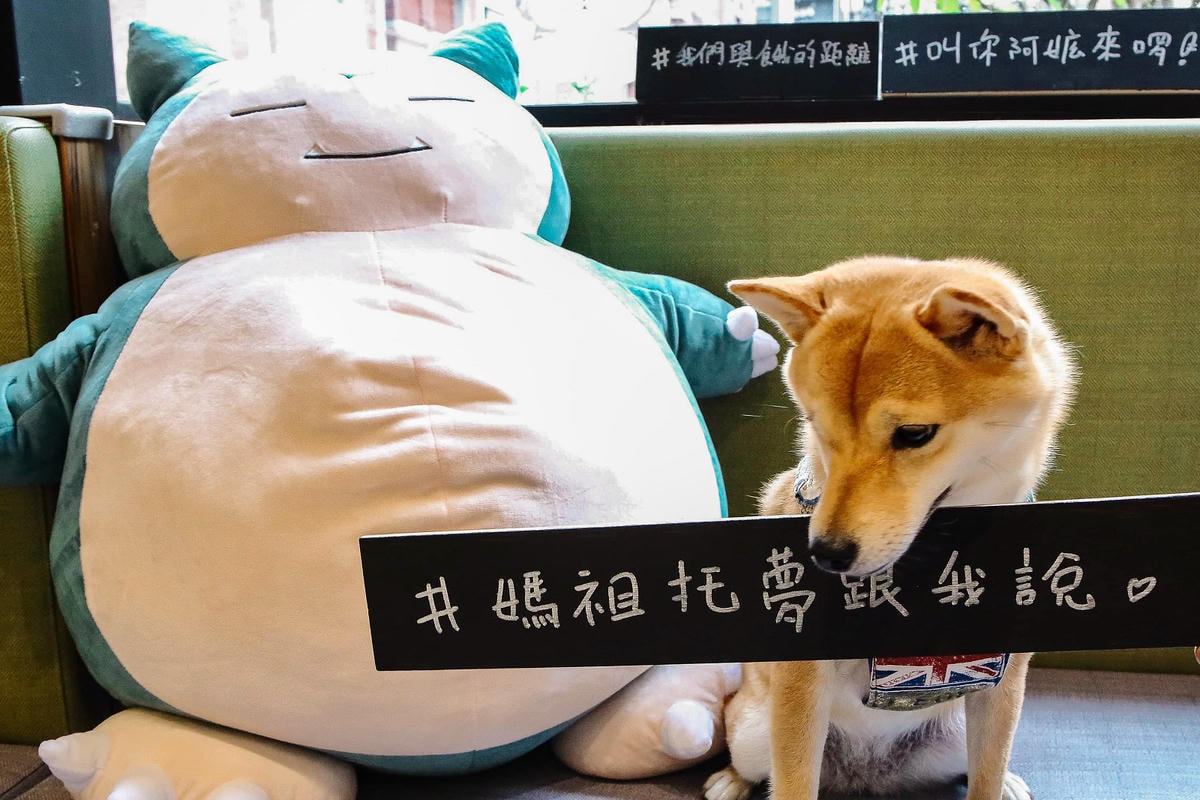 【食。台中】森林小徑-大墩店〜IG瘋打卡!當個森林系女孩!療癒喵店長坐檯陪你吃,味蕾與視覺的享受!