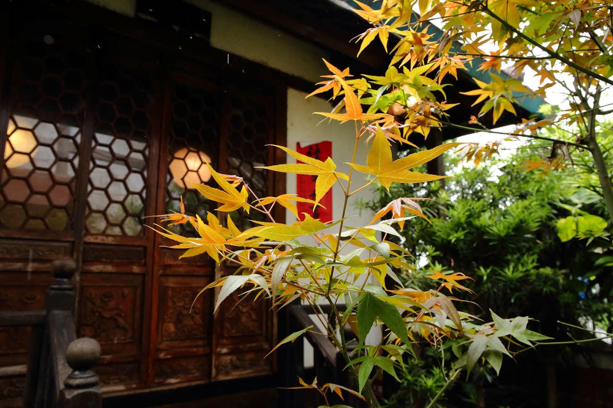 【食。中壢】友竹居茶藝館〜5、6年級生的共同回憶！中國風庭園