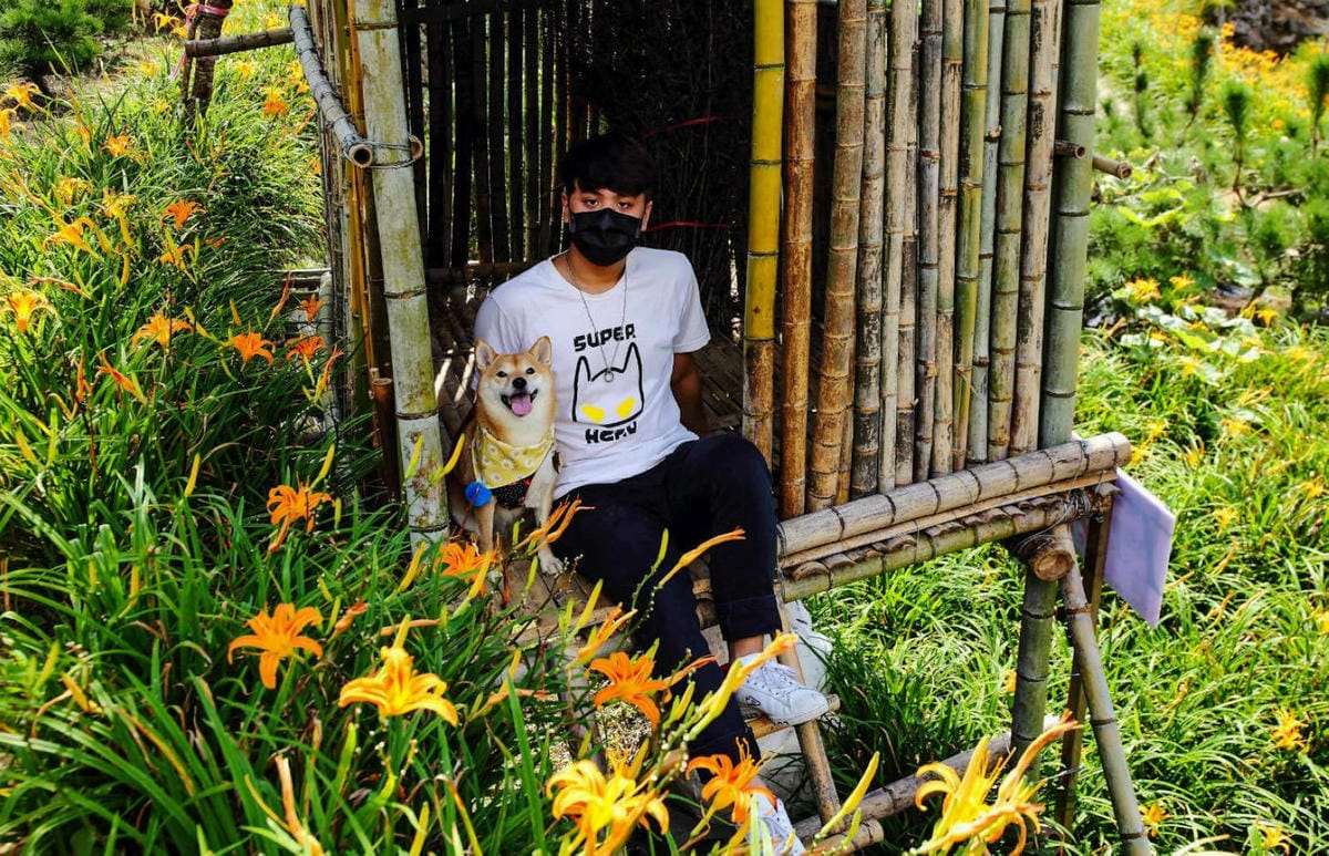 【北北基寵物友善餐廳、旅遊景點懶人包】帶毛小孩吃喝玩樂趴趴G