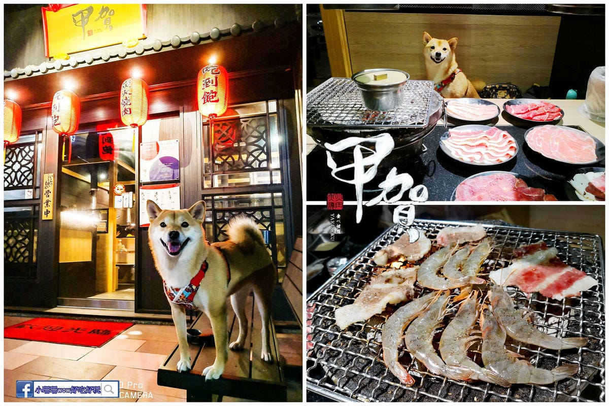 【北北基寵物友善餐廳、旅遊景點懶人包】帶毛小孩吃喝玩樂趴趴G