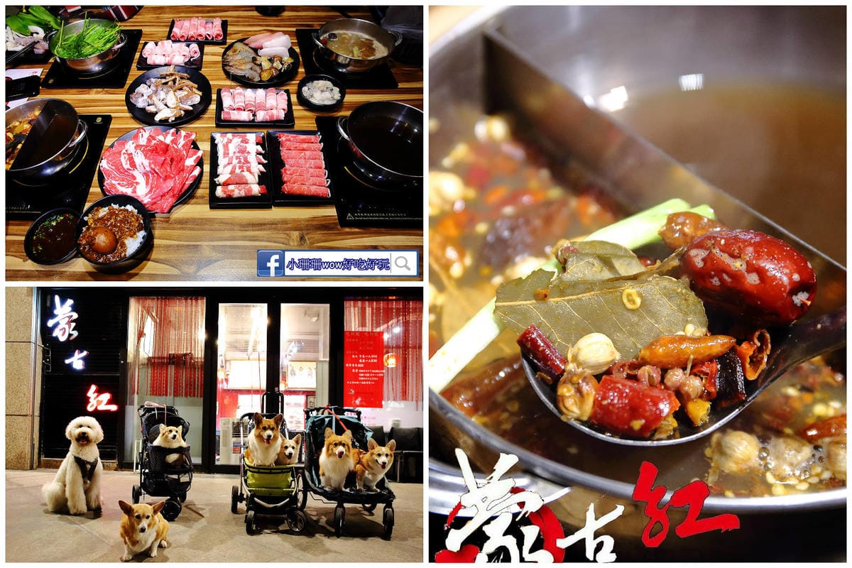 【北北基寵物友善餐廳、旅遊景點懶人包】帶毛小孩吃喝玩樂趴趴G