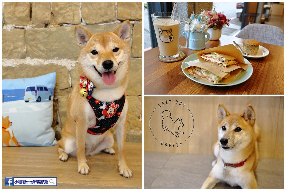 【北北基寵物友善餐廳、旅遊景點懶人包】帶毛小孩吃喝玩樂趴趴G