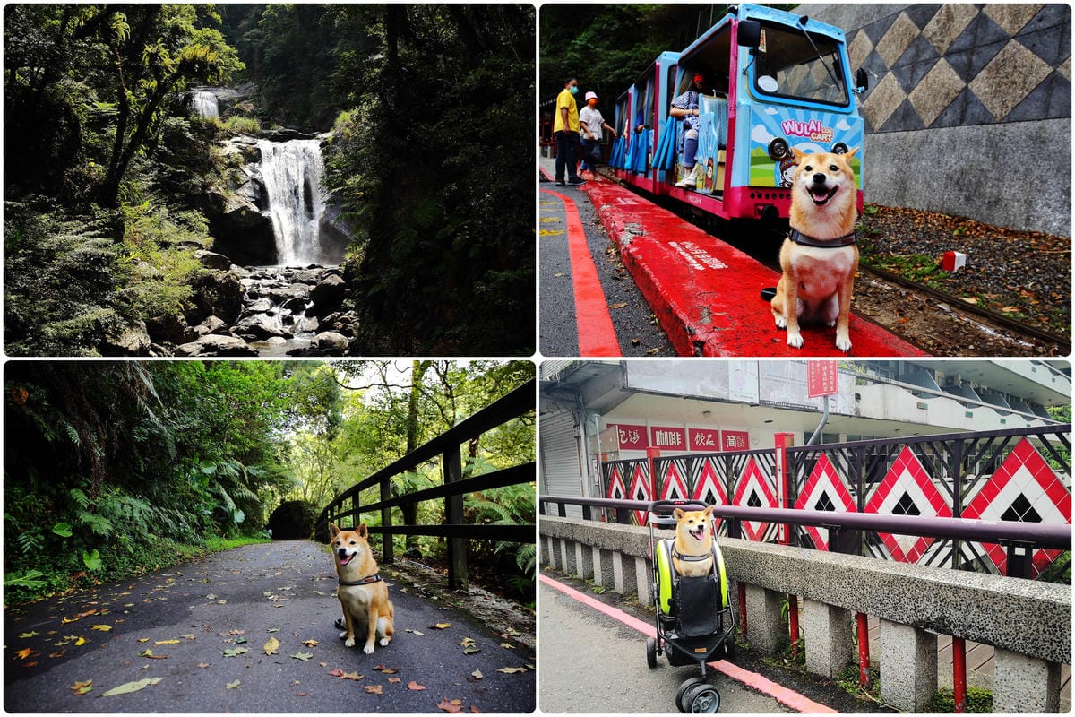 【北北基寵物友善餐廳、旅遊景點懶人包】帶毛小孩吃喝玩樂趴趴G