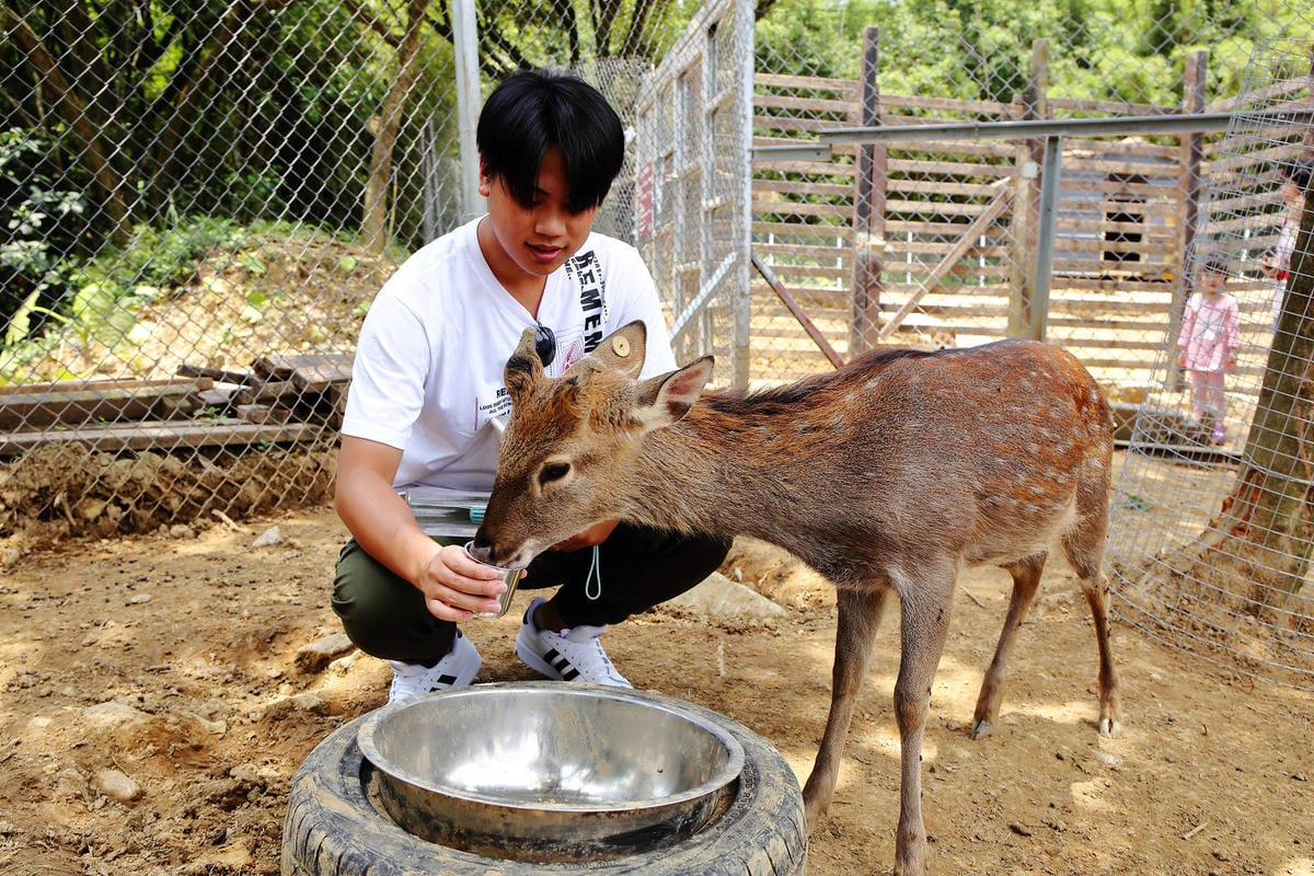 【北北基寵物友善餐廳、旅遊景點懶人包】帶毛小孩吃喝玩樂趴趴G