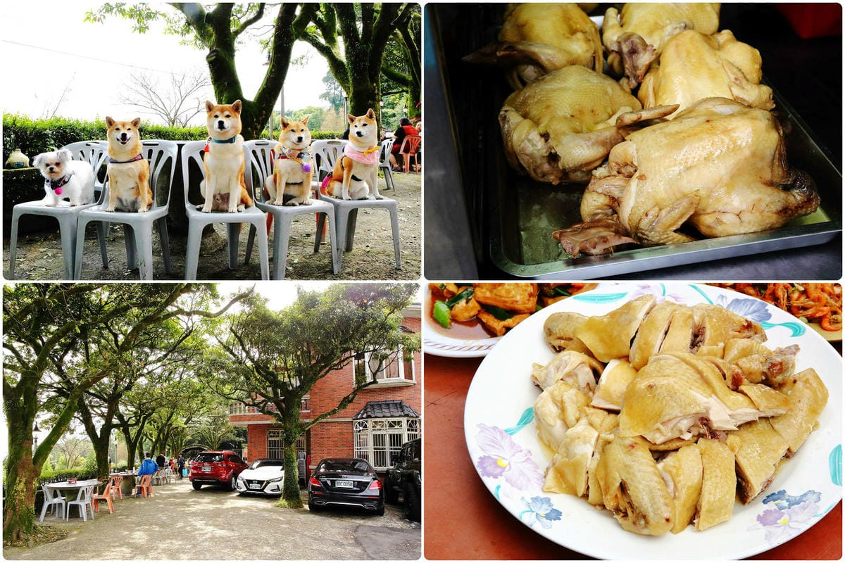 【北北基寵物友善餐廳、旅遊景點懶人包】帶毛小孩吃喝玩樂趴趴G