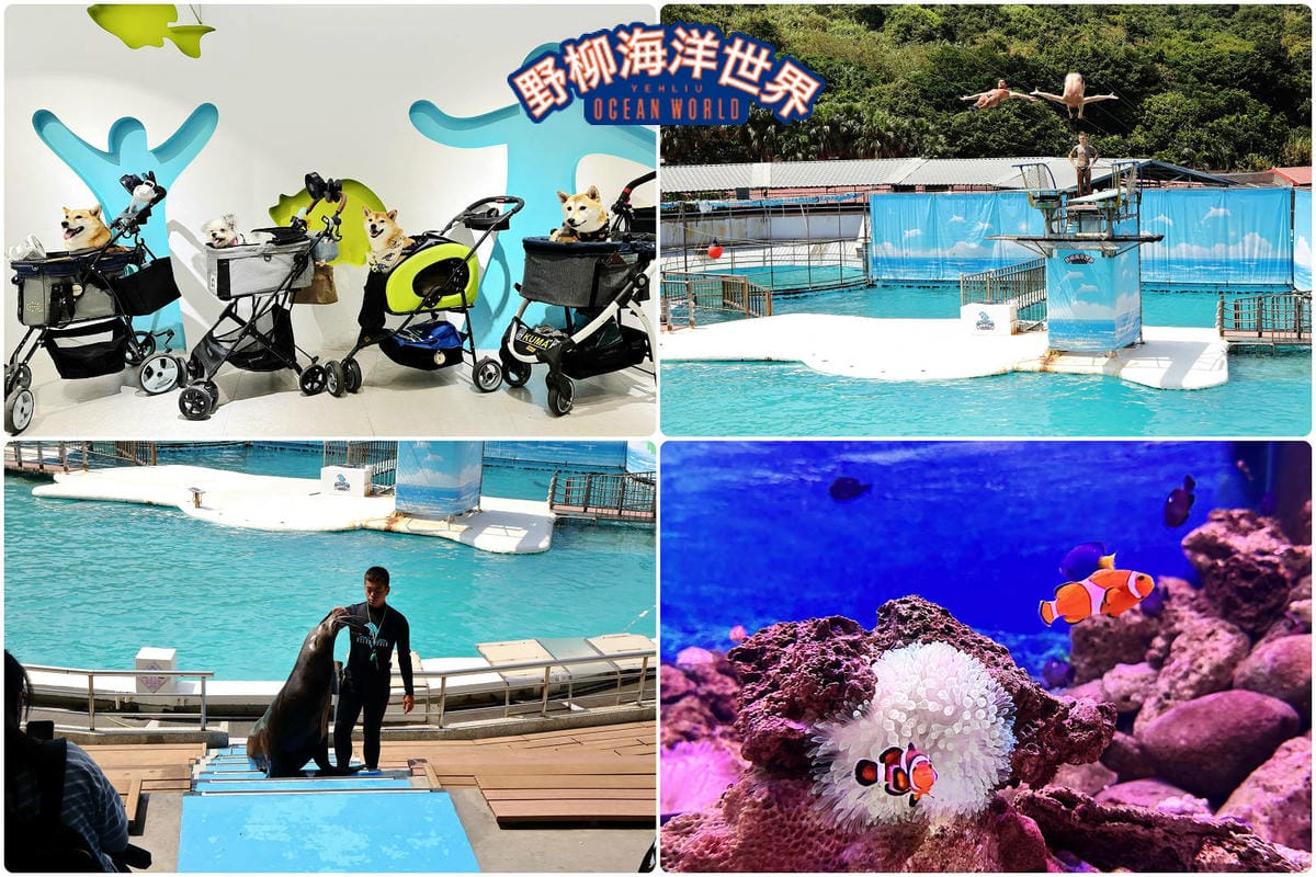 【北北基寵物友善餐廳、旅遊景點懶人包】帶毛小孩吃喝玩樂趴趴G