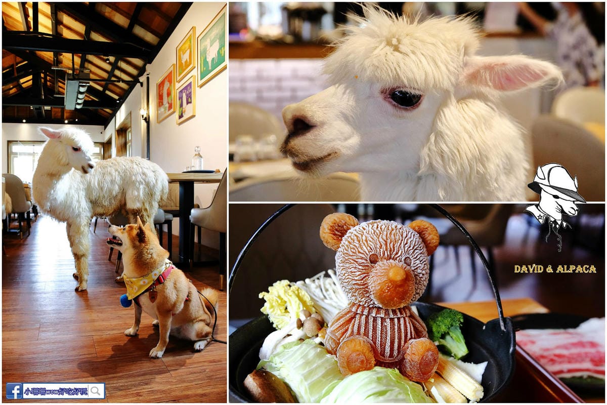 【北北基寵物友善餐廳、旅遊景點懶人包】帶毛小孩吃喝玩樂趴趴G
