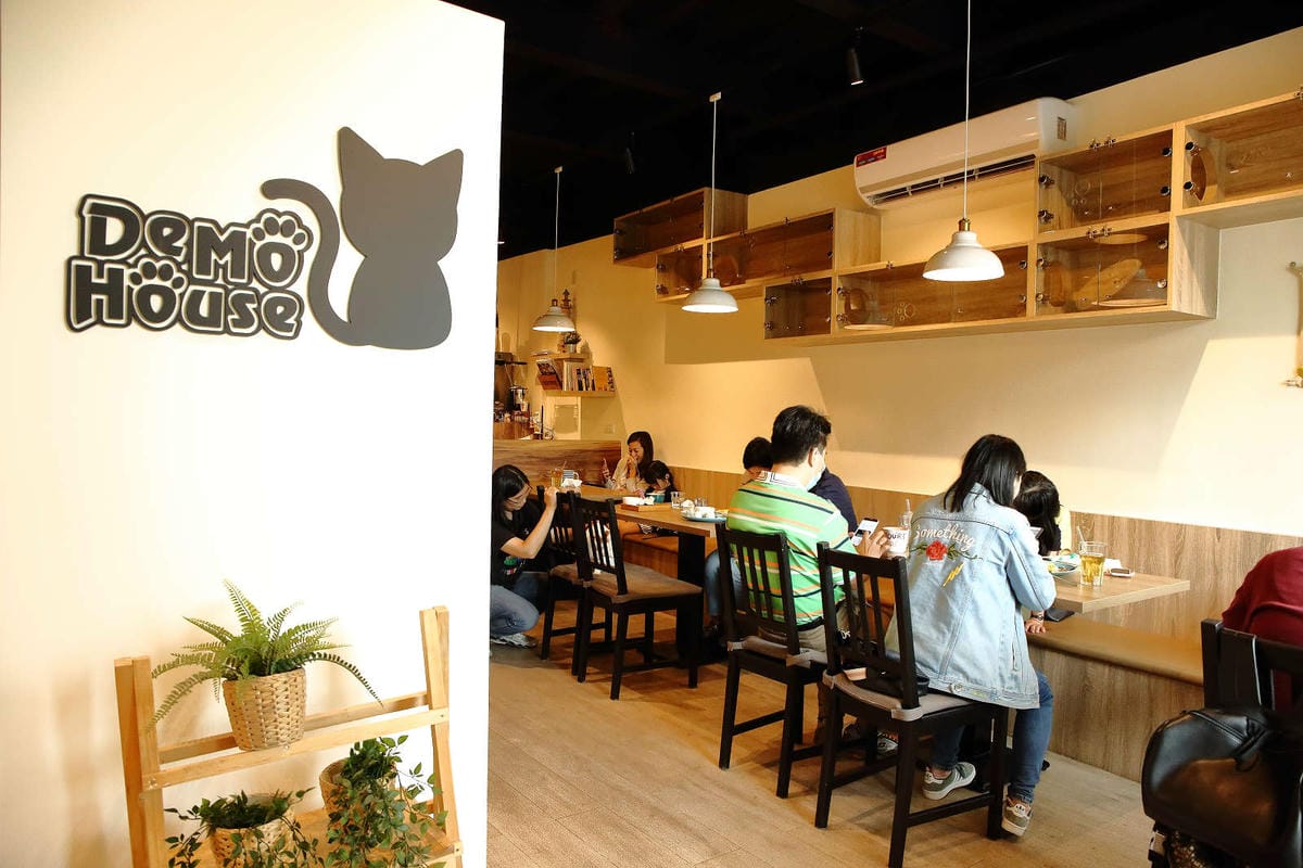 【食。桃園】DeMo House 戴莫好食屋〜貓控不能錯過的超療癒貓咪餐廳！敲可愛喵星人陪你吃早午餐！(寵物友善餐廳)
