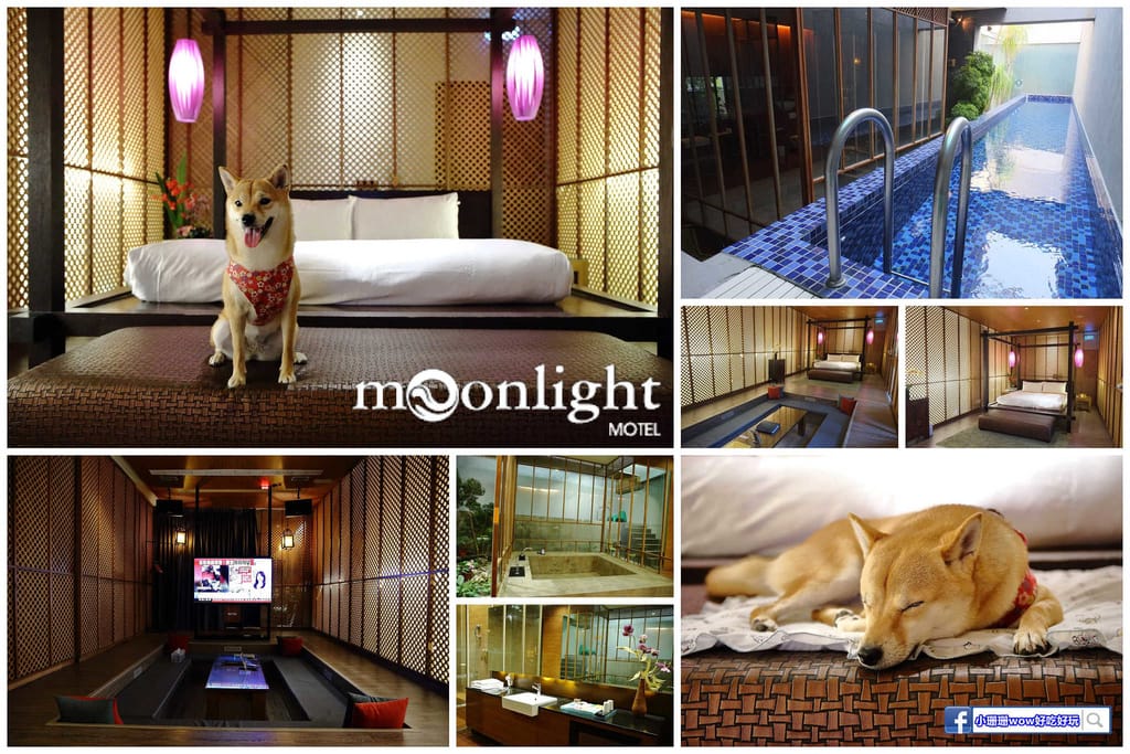 【台中寵物友善餐廳、旅遊景點懶人包】帶毛小孩吃喝玩樂趴趴GO