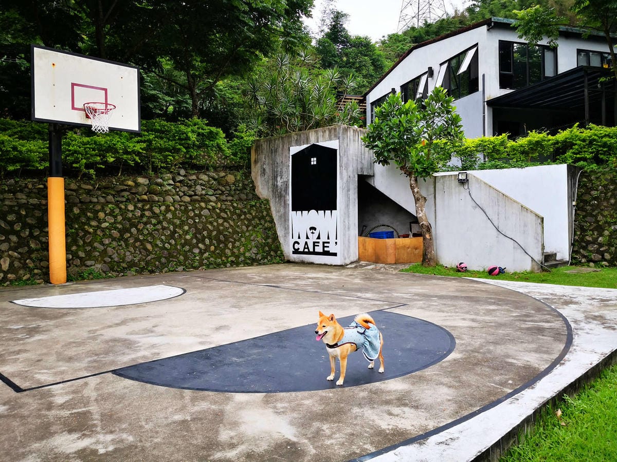 【食。深坑】wow cafe’〜深山裡的寵物友善咖啡廳，帶毛小孩去青草地奔跑吧！親子寵物餐廳/狗狗游泳池/早午餐