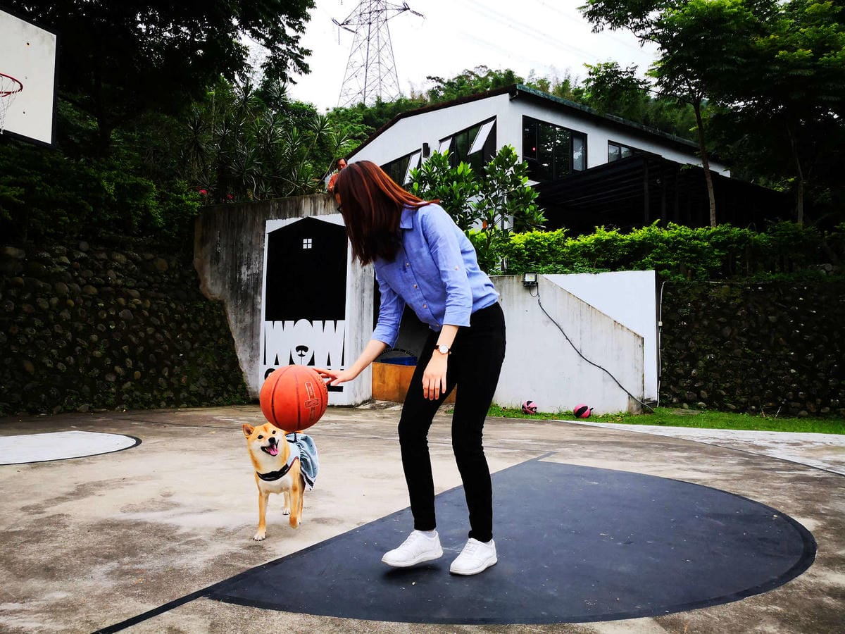 【食。深坑】wow cafe’〜深山裡的寵物友善咖啡廳，帶毛小孩去青草地奔跑吧！親子寵物餐廳/狗狗游泳池/早午餐