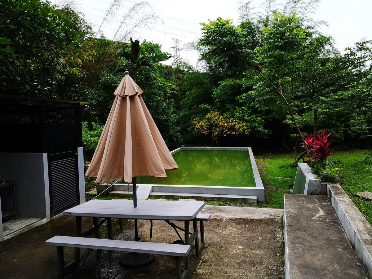 【食。深坑】wow cafe’〜深山裡的寵物友善咖啡廳，帶毛小孩去青草地奔跑吧！親子寵物餐廳/狗狗游泳池/早午餐