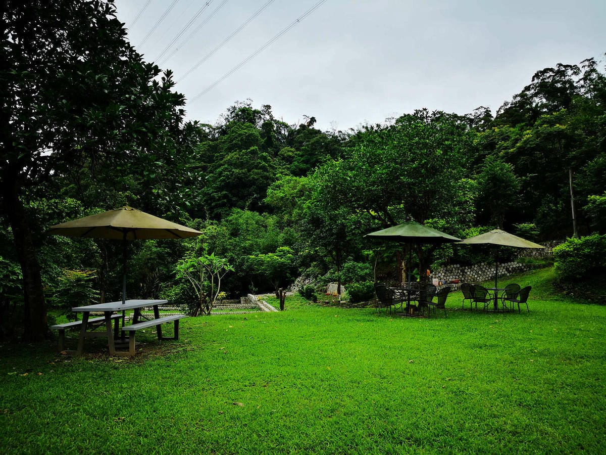 【食。深坑】wow cafe’〜深山裡的寵物友善咖啡廳，帶毛小孩去青草地奔跑吧！親子寵物餐廳/狗狗游泳池/早午餐