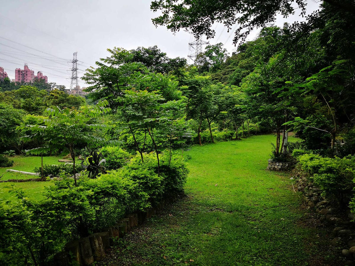 【食。深坑】wow cafe’〜深山裡的寵物友善咖啡廳，帶毛小孩去青草地奔跑吧！親子寵物餐廳/狗狗游泳池/早午餐