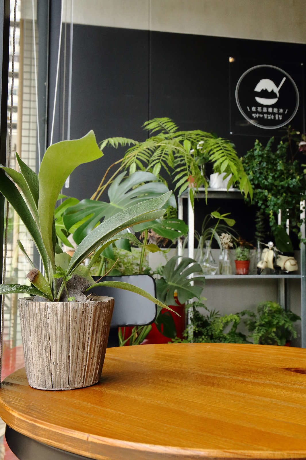 【食。中壢】花居樂花坊〜在花店吃冰？韓式冰品超吸睛，少女風格的花店好吃又好拍，人人都是網美！