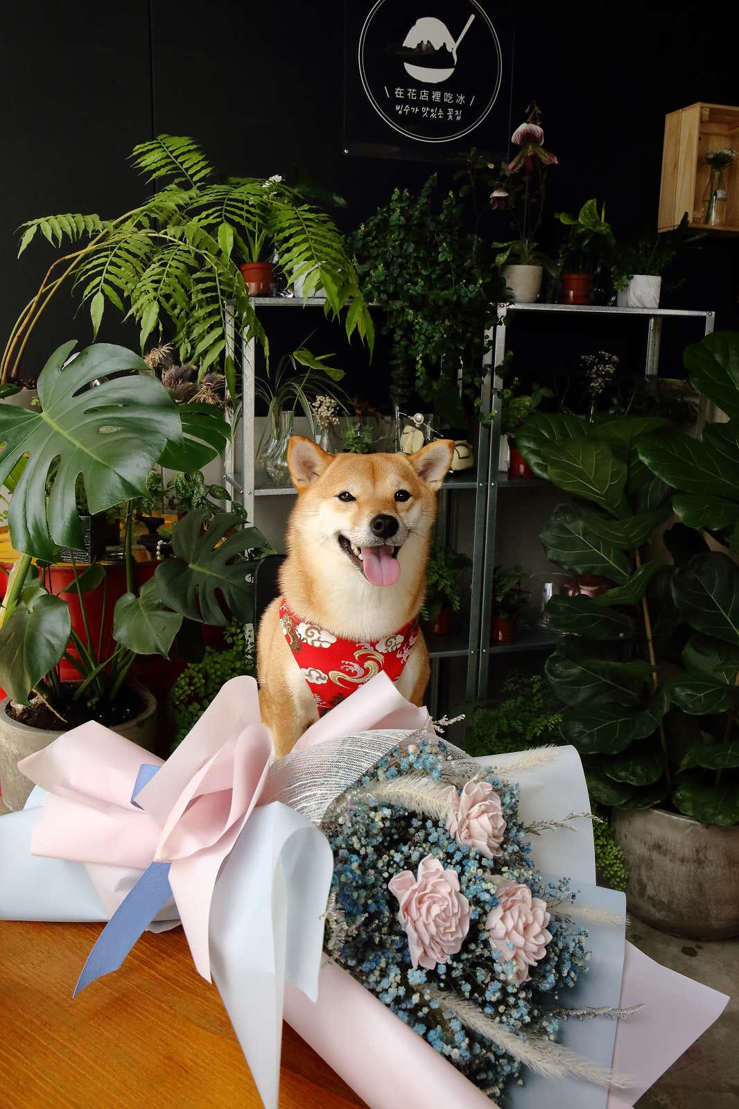 【食。中壢】花居樂花坊〜在花店吃冰？韓式冰品超吸睛，少女風格的花店好吃又好拍，人人都是網美！