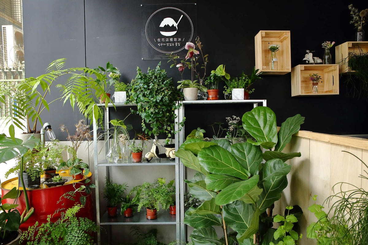 【食。中壢】花居樂花坊〜在花店吃冰？韓式冰品超吸睛，少女風格的花店好吃又好拍，人人都是網美！