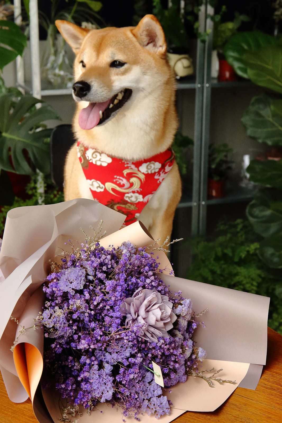【食。中壢】花居樂花坊〜在花店吃冰？韓式冰品超吸睛，少女風格的花店好吃又好拍，人人都是網美！