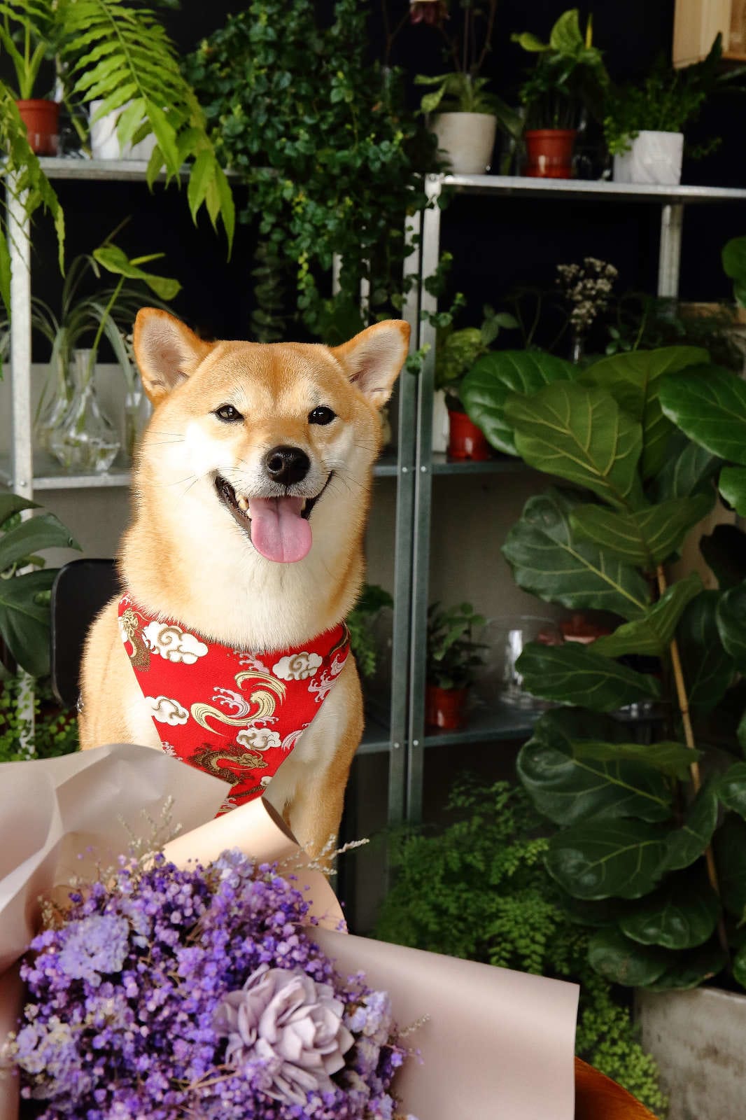 【食。中壢】花居樂花坊〜在花店吃冰？韓式冰品超吸睛，少女風格的花店好吃又好拍，人人都是網美！
