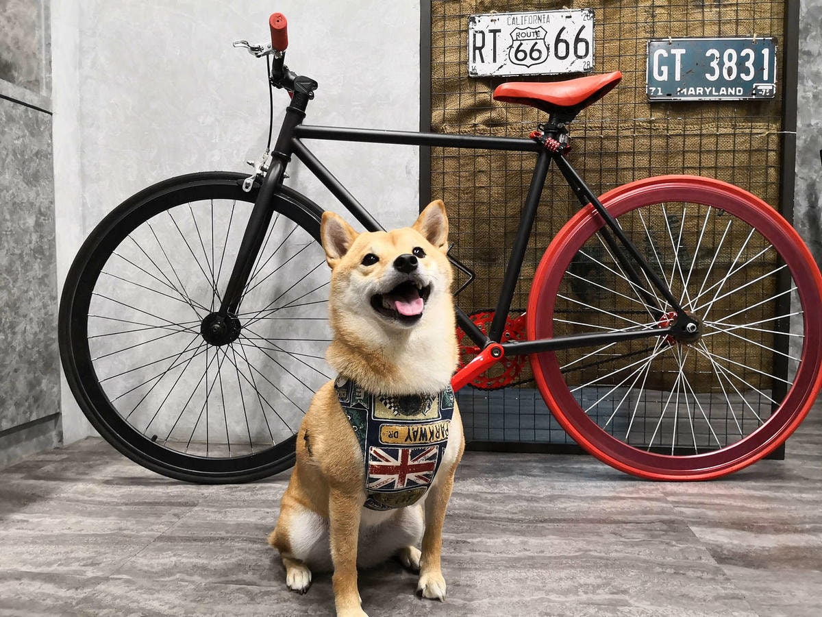 【食。中和】沐禾。饕找餐〜手工蛋餅專賣店,蛋餅控必看!外皮金黃酥脆!創意口味,好吃到不想分享私藏美食!