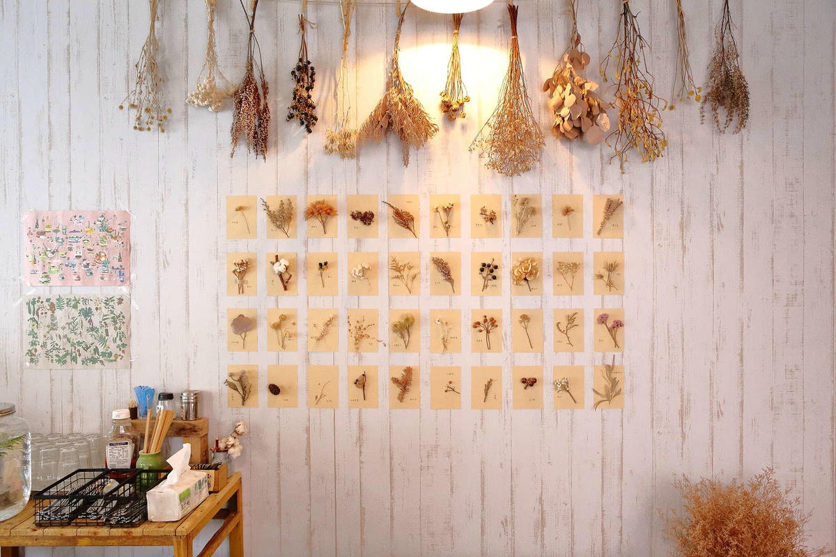 【食。桃園】煦煦早午餐〜被乾燥花包圍的網美早午餐,輕食手作餐點可口好吃,帶著毛小孩來約會吧!