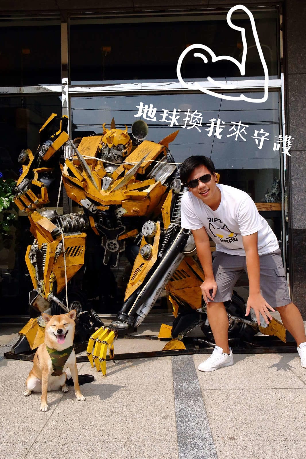 【寵物飼料】寶多福寵物食品〜MIT台灣嚴選狗飼料推薦！專為臺灣寵物飼養環境精心調配，健康取向，家中寶貝一吃愛上！