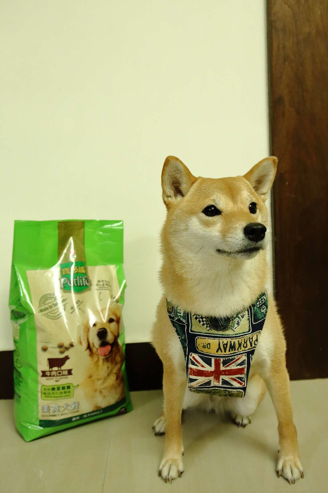 【寵物飼料】寶多福寵物食品〜MIT台灣嚴選狗飼料推薦！專為臺灣寵物飼養環境精心調配，健康取向，家中寶貝一吃愛上！