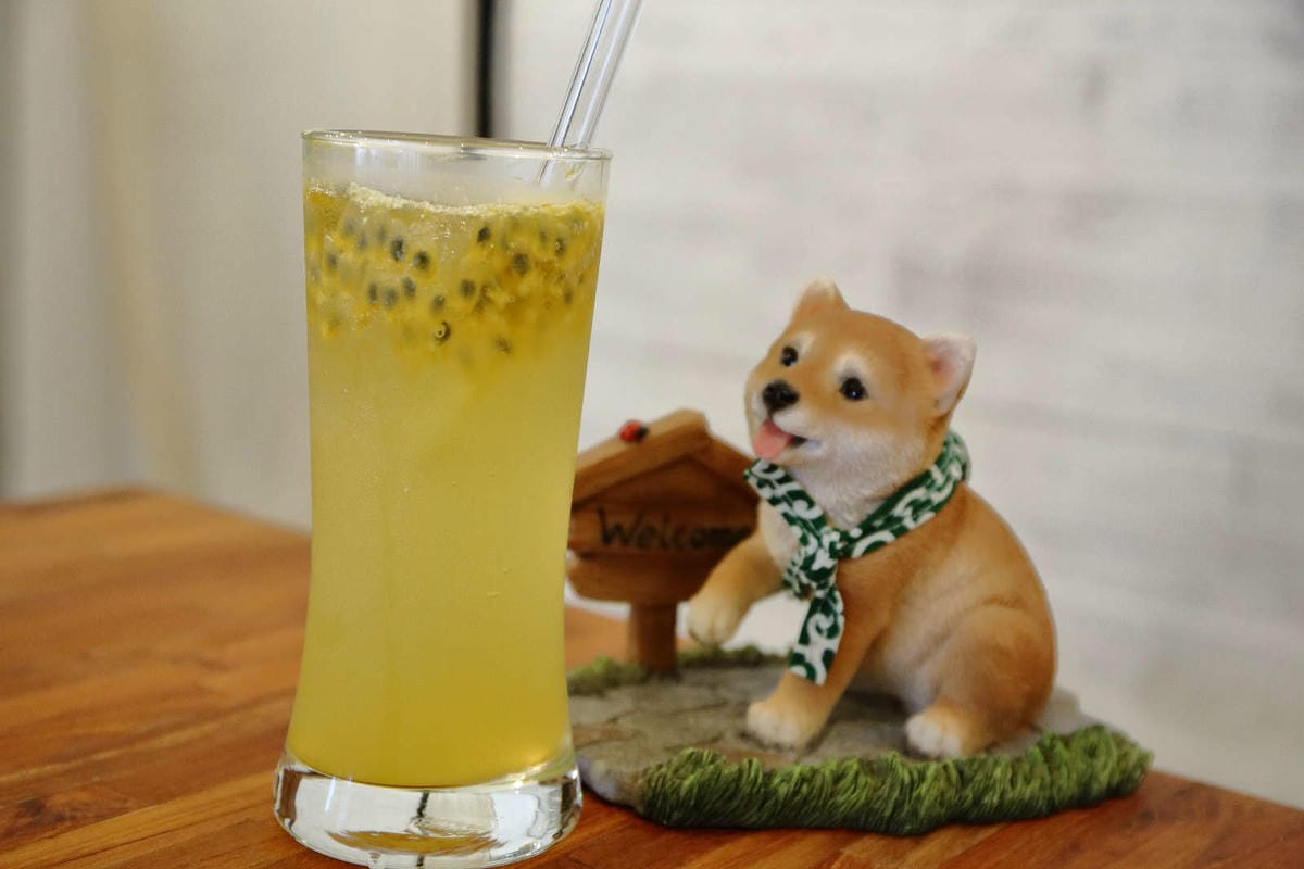 【食。台北】Caviar café+brunch魚子醬咖啡〜台北寵物餐廳推薦！可愛柴犬韓風咖啡店，美好的早午餐約會健康養生輕食料理