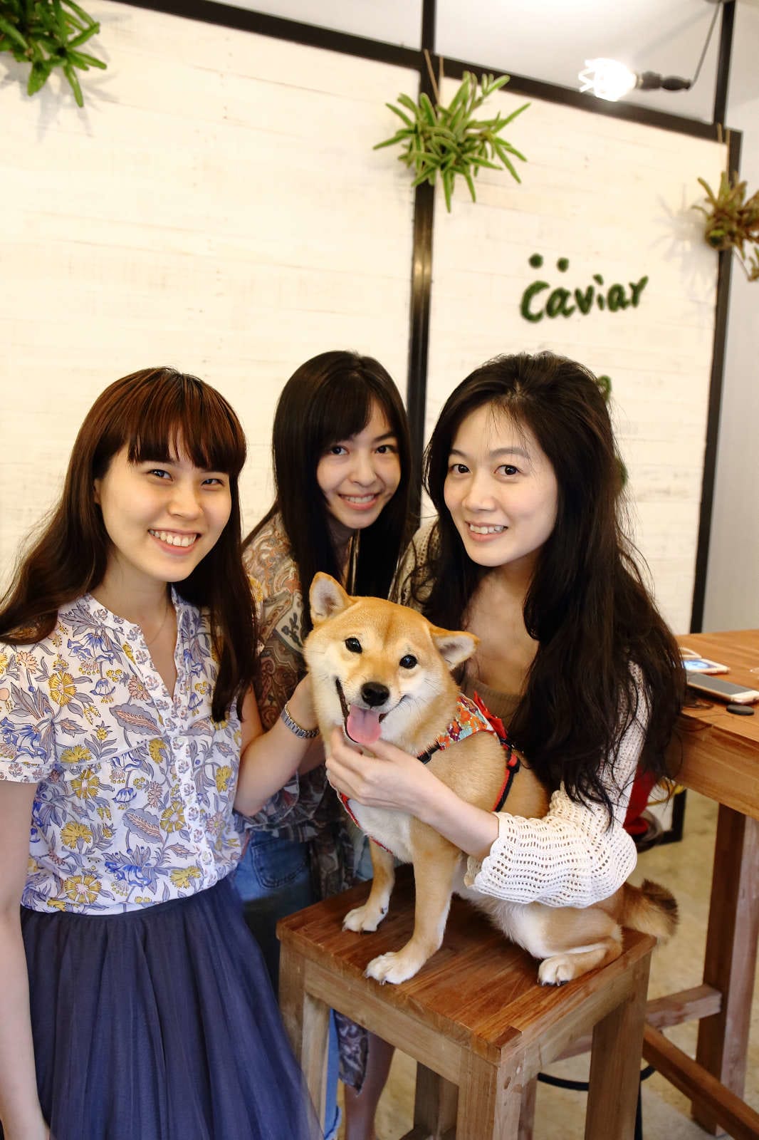 【食。台北】Caviar café+brunch魚子醬咖啡〜台北寵物餐廳推薦！可愛柴犬韓風咖啡店，美好的早午餐約會健康養生輕食料理