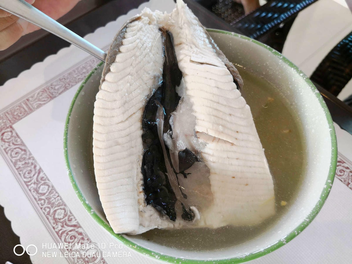 【宿。台南】四草舟屋〜台南寵物友善民宿,露營、划獨木舟、釣魚,帶著毛小孩來去住一晚!