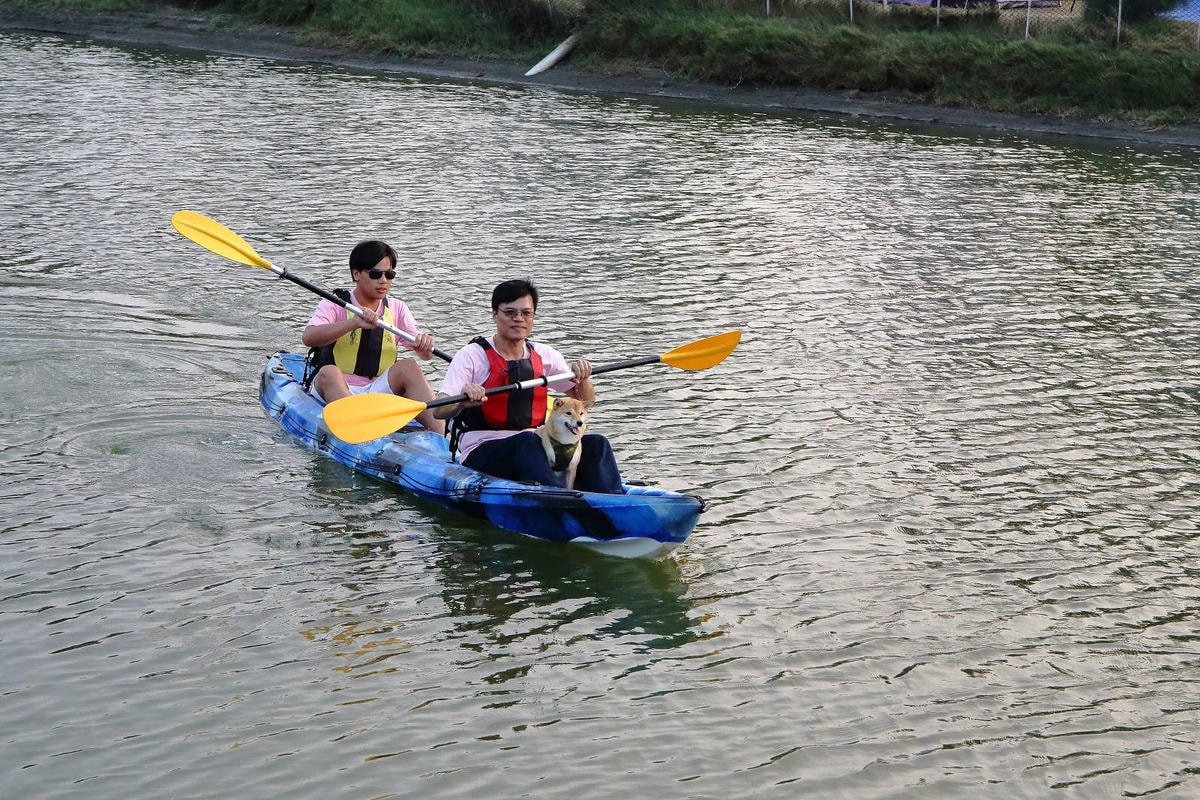 【宿。台南】四草舟屋〜台南寵物友善民宿,露營、划獨木舟、釣魚,帶著毛小孩來去住一晚!