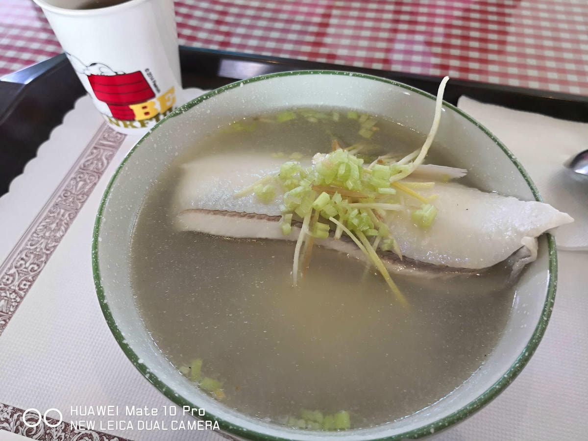 【宿。台南】四草舟屋〜台南寵物友善民宿,露營、划獨木舟、釣魚,帶著毛小孩來去住一晚!
