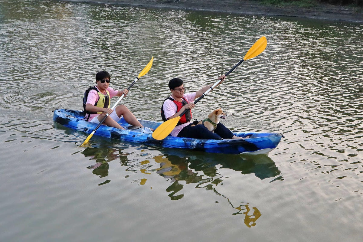 【宿。台南】四草舟屋〜台南寵物友善民宿,露營、划獨木舟、釣魚,帶著毛小孩來去住一晚!