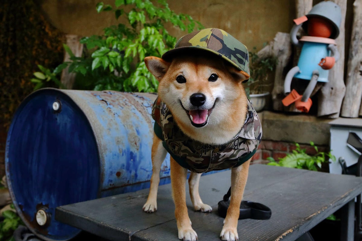 【食。台南】一七二營本部連軍事主題餐廳〜台南安平特色餐廳,戴鋼盔吃火鍋,軍事餐廳讓你體驗當兵的感覺,男人最珍貴的軍旅回憶!(已歇業)