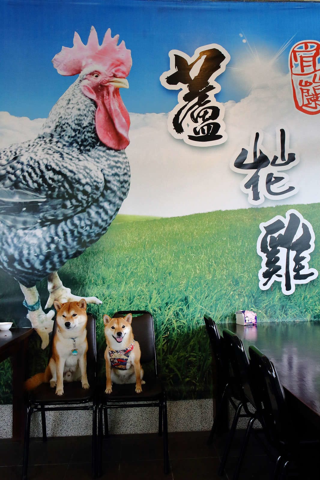 【食。宜蘭】宜蘭蘆花雞料理餐廳～烤雞，乾爽脆皮的雞來了！