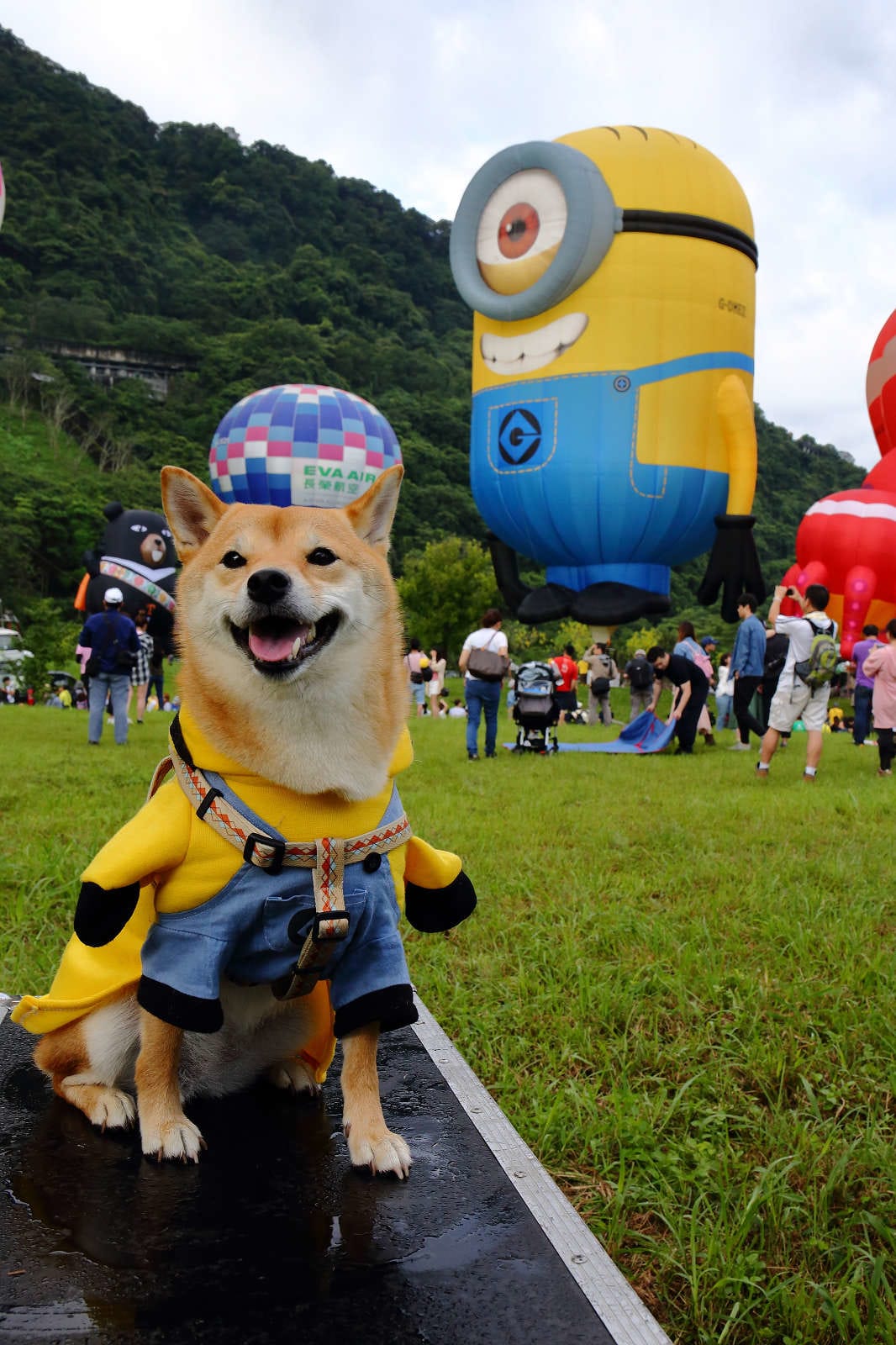 【遊。桃園】2019桃園石門熱氣球嘉年華。今夏第一發～石門水庫熱氣球又來惹！