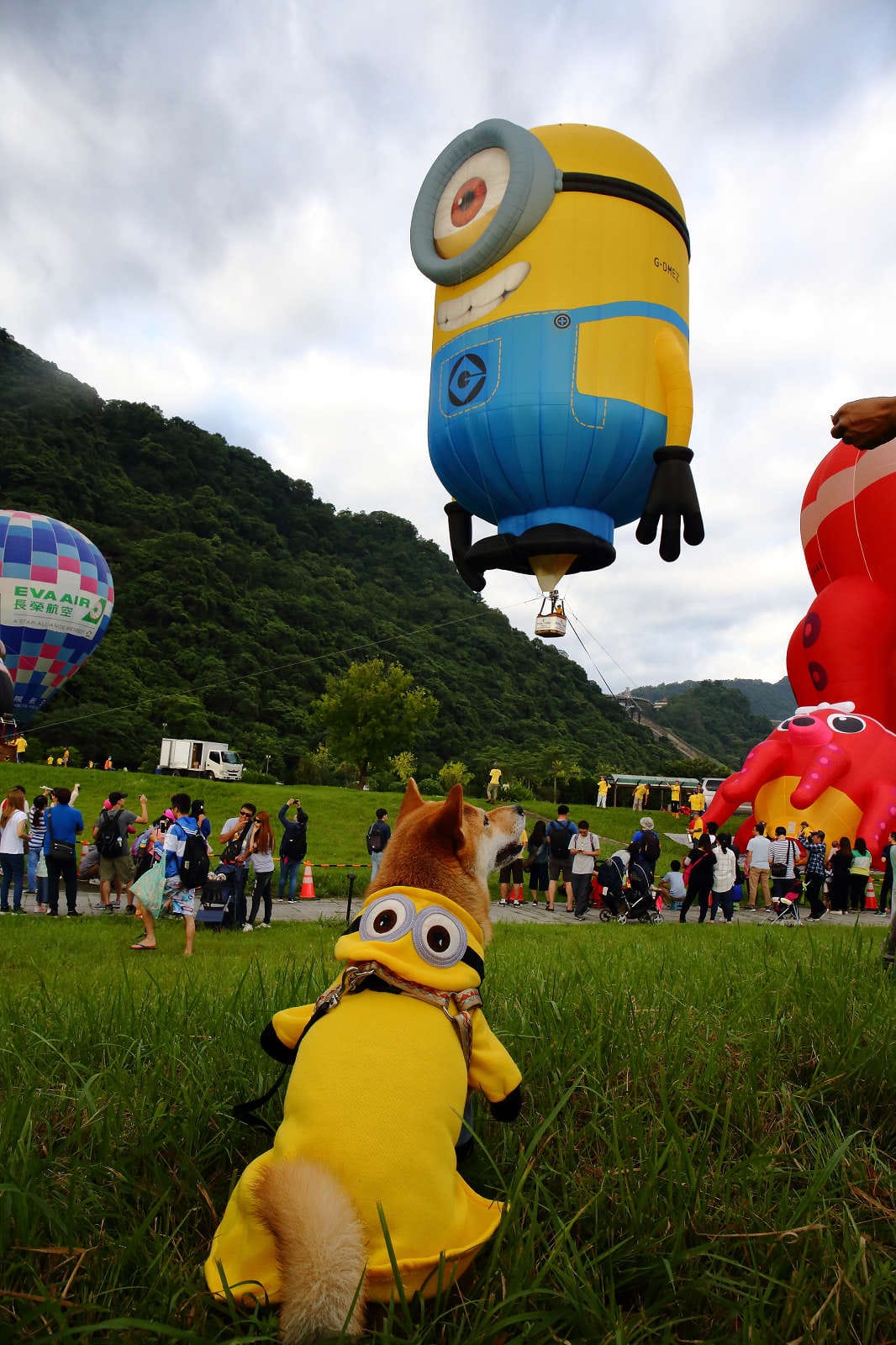 【遊。桃園】2019桃園石門熱氣球嘉年華。今夏第一發～石門水庫熱氣球又來惹！