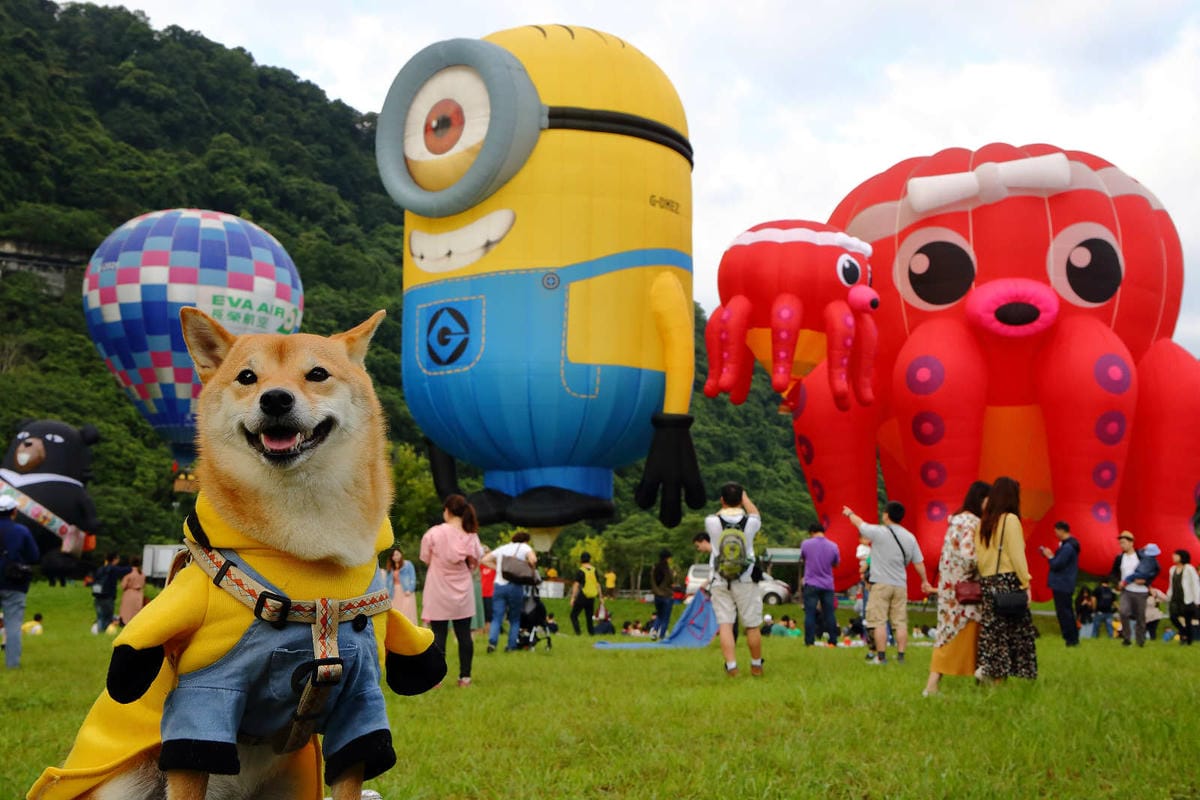 【遊。桃園】2019桃園石門熱氣球嘉年華。今夏第一發～石門水庫熱氣球又來惹！