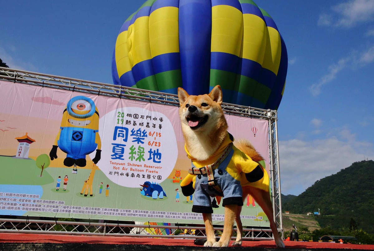 【遊。桃園】2019桃園石門熱氣球嘉年華。今夏第一發～石門水庫熱氣球又來惹！