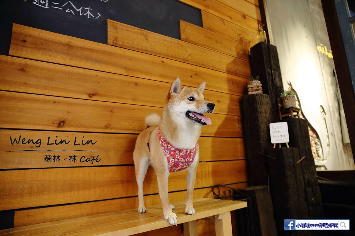 【食。板橋】翁林.林Café〜板橋巷弄美食推薦。新埔站全天候早午餐、義大利麵，鄉村風打造出專屬於女生小聚的浪漫約會！