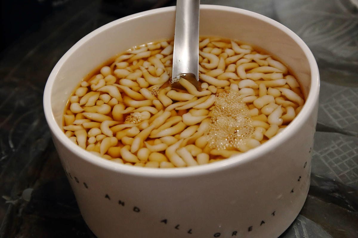 【中壢商圈好活動】魅力金三角商圈輕體驗〜特殊的雲南文化，特別的滇緬料理！忠貞市場/雲南美食/國旗屋，一生必來體驗一次的在地文化